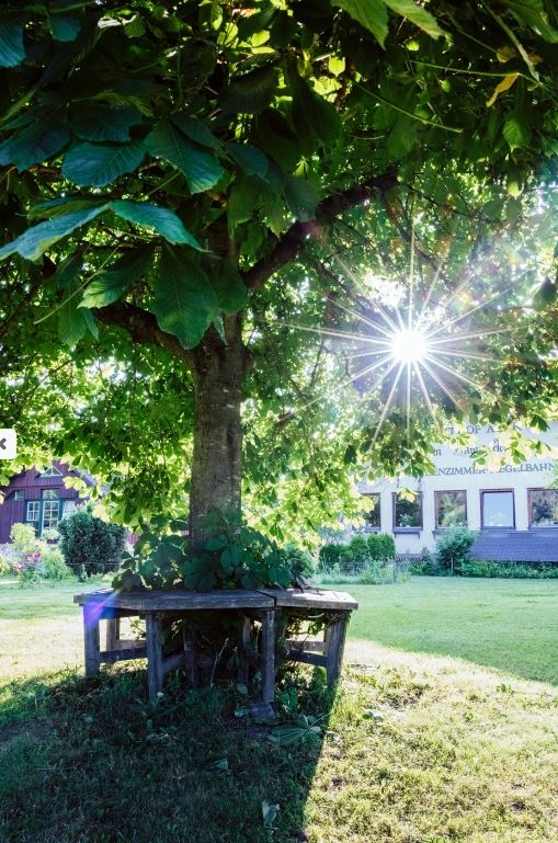 Garten