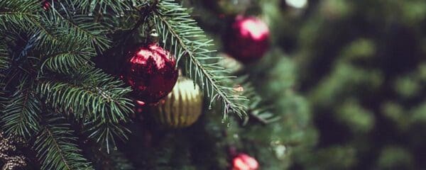 Weihnachtsfeier_Tannenzweige mit Dekoration